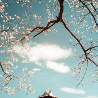 北单足球app截图