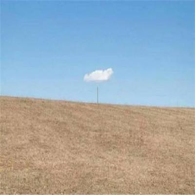 足球游戏app下载